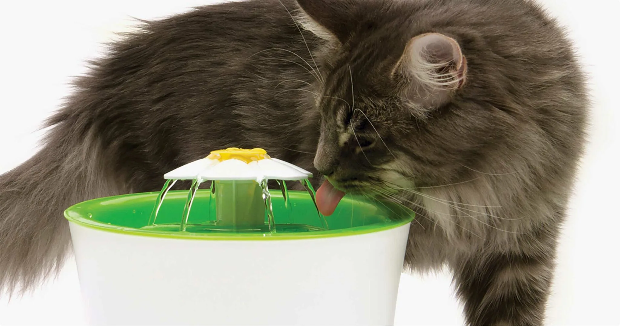 Catit Senses 3.0 Flower Fountain (drikkeautomat)